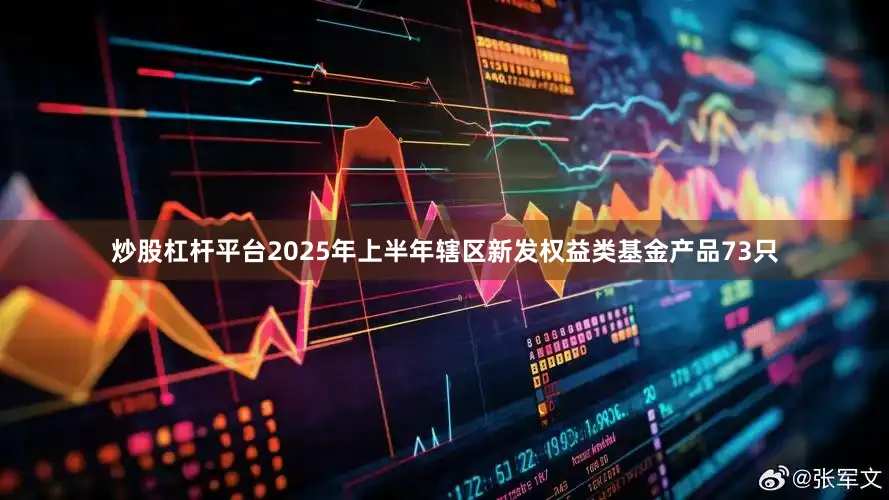 炒股杠杆平台2025年上半年辖区新发权益类基金产品73只
